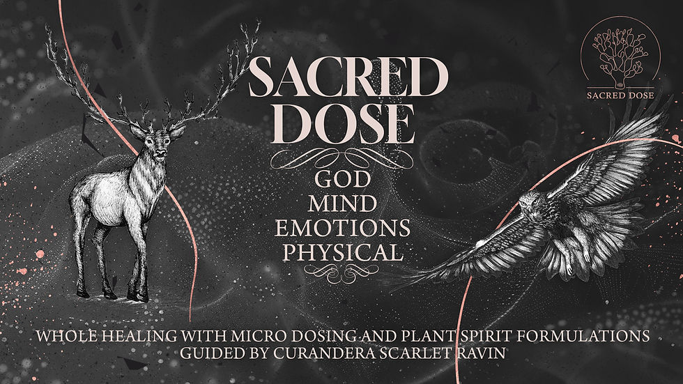 The Sacred Dose YT Banner