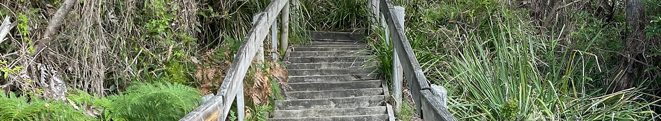 IMG_1897.JPEG