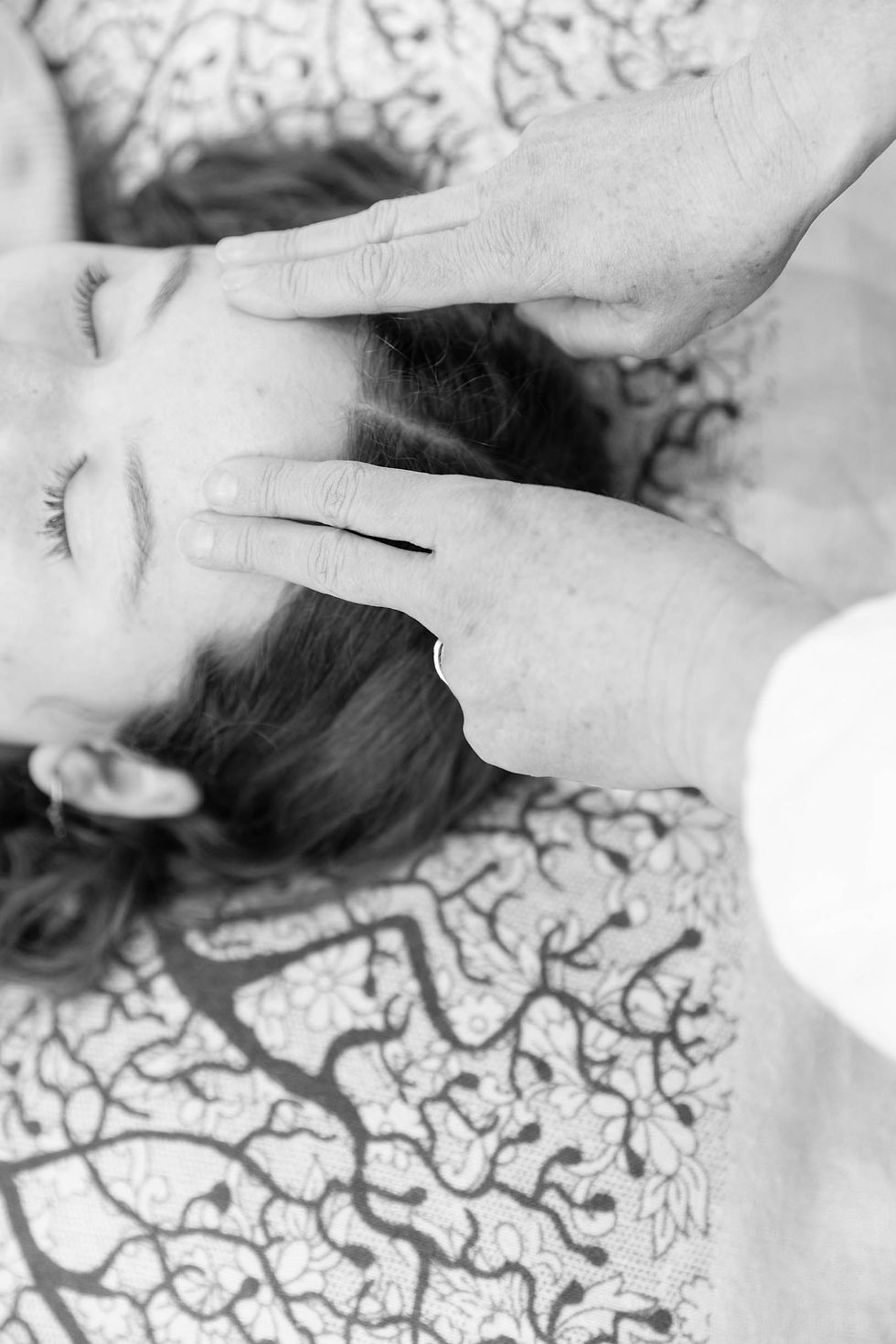 High angle view of a river flowing through a forest landscape