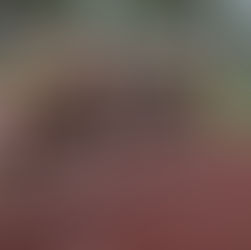 Neun Landesmeistertitel für die Sparkasse Sportgemeinschaft Götzis