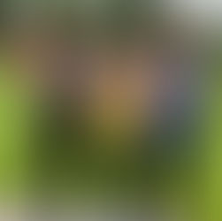 Vorarlberger Meisterschaften im Mehrkampf