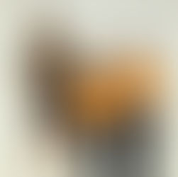 Erfolge der Sparkasse Sportgemeinschaft Götzis bei den heurigen VLV Nachwuchs Hallenmeisterschaften