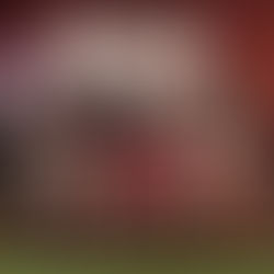 Jahreshauptversammlung 2022