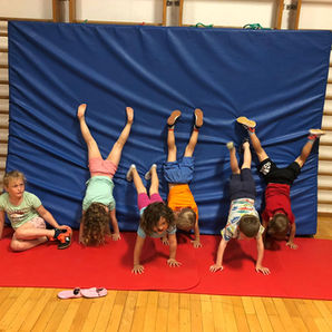 Trainer und Helfer gesucht!