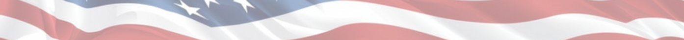 VoteRonLong.com