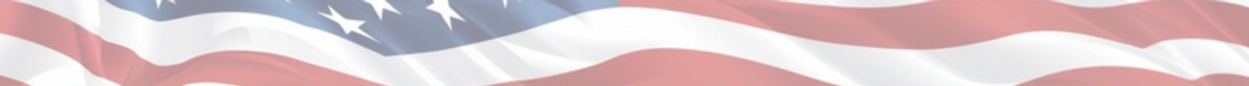 VoteRonLong.com