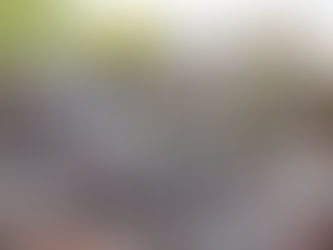 Kūnas prisimena tai, ką miestas pamiršta – Tarptautinė šokio diena Naujininkuose