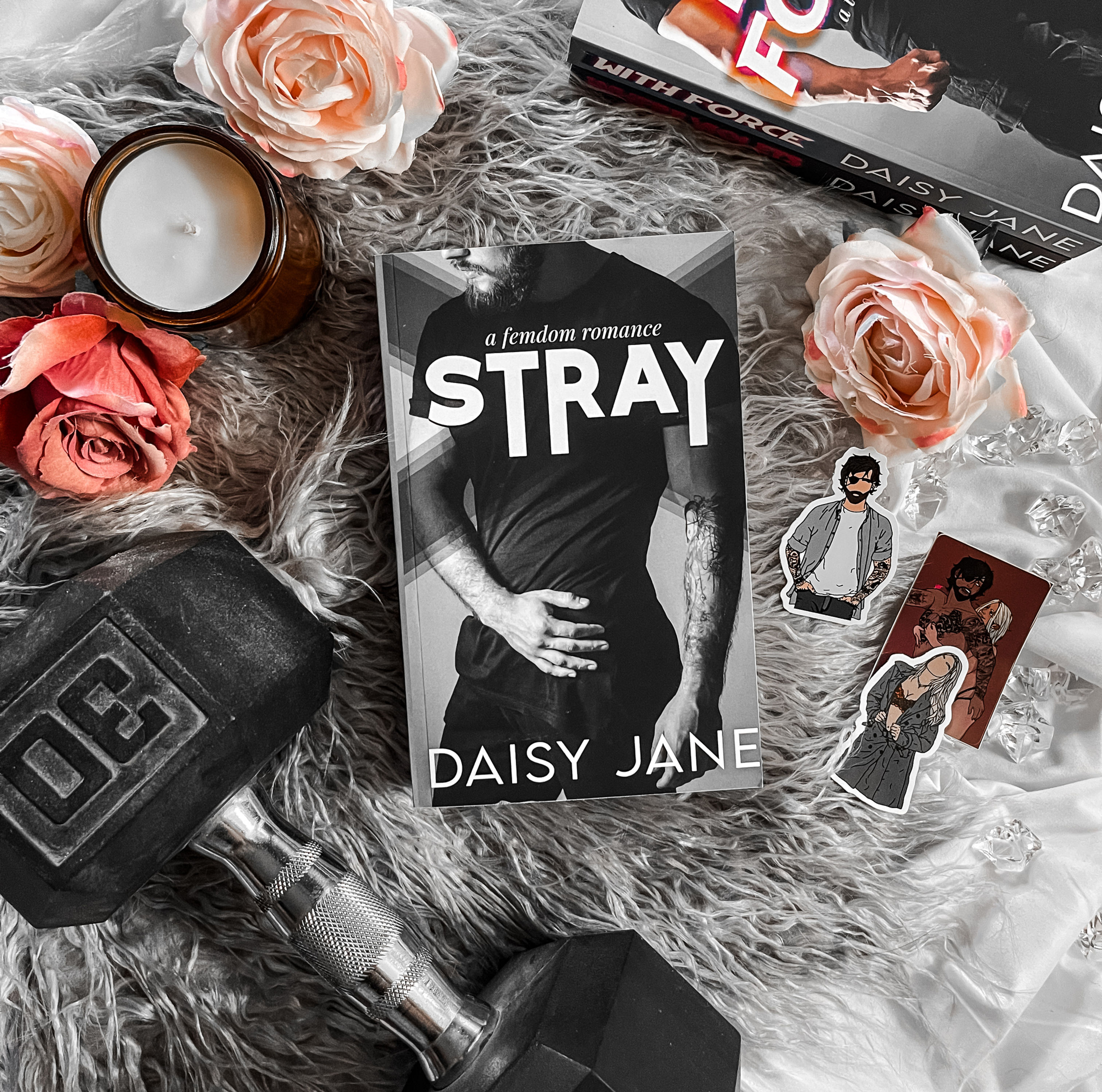 Stray