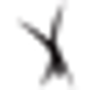 Friendship Gymnastics Center logo