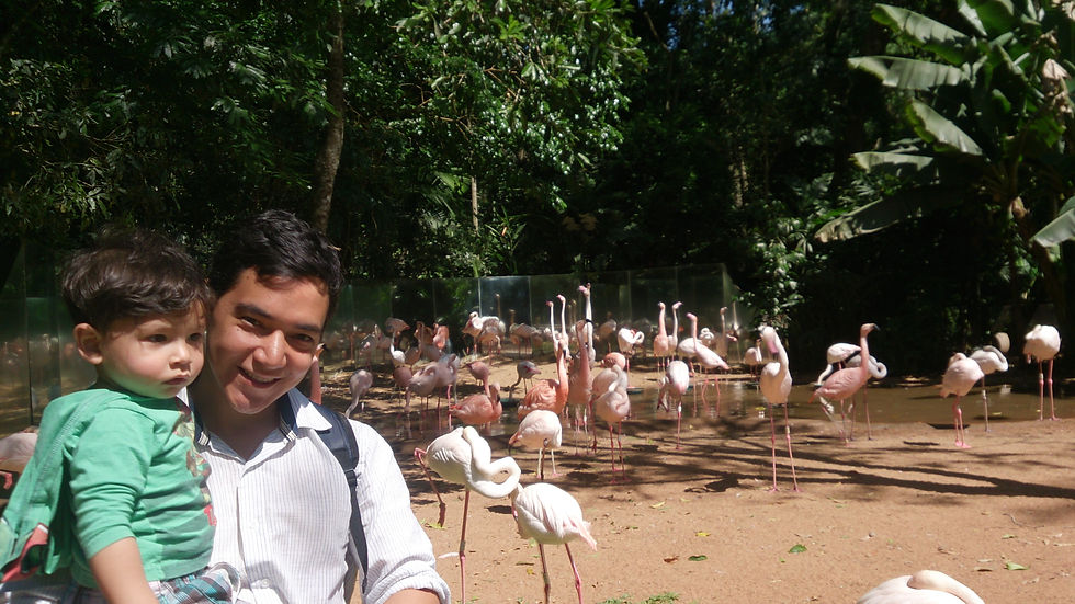 Parque das Aves