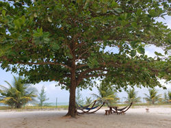 Ala da Praia