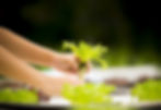 Aquaponics