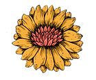 fiore 12 c.tif