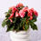 Thumbnail: Reiger Begonia - 6.5"