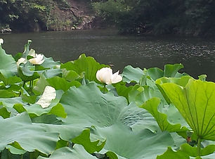 20160723_093948 (2).jpg