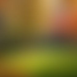 The Ultimate Guide to Fall Cleanups: Timing, Tips, and Why You Should Hire a Pro in Cleveland