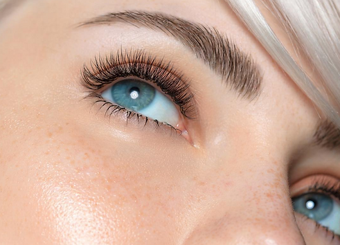 lash.png