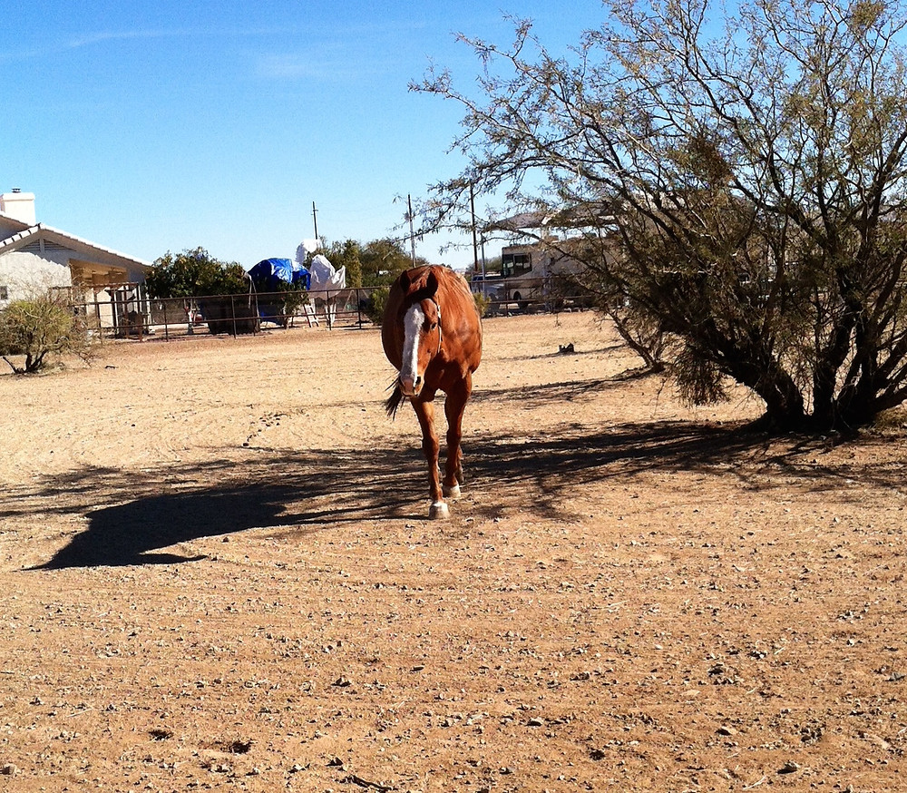photo.jpeg