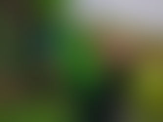 Rutan Pasangkayu Gotong Royong Membersihkan Saluran Pembuangan Limbah Cair