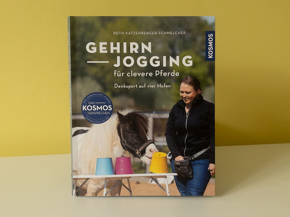 Buchrezension | Gehirnjogging für clevere Pferde. Denksport auf vier Hufen. Von Ruth Katzenberger-Schmelcher | von Katja Hammerschmidt - traumasensibles Coaching und Mentoring von Pferd + Mensch mittels telepathischer Tierkommunikation, Pferdegesprächen, Seelenlauf-Coaching, achtsamer Pferdefotografie, Freiem Spiel mit dem Pferd, Intrinzen - Hamburg | Schleswig-Holstein