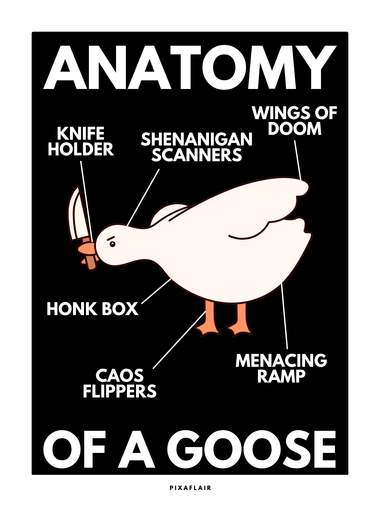 Pixaflair - Anatomy Of A Goose