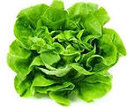 lechuga.jpg
