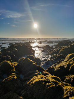 Bellavia Designs Photography