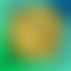 Poolside Sunshine | Collab Verse