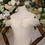 Thumbnail: Silvia - Detachable Champagne Wedding Dress Straps,