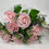 Thumbnail: Seven Large Baby Pink Roses