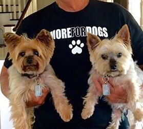 Thumbnail: Mens T-Shirts $20 donation