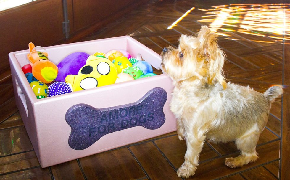 Thumbnail: Amore for Dogs  custom Toy Box Made of Birchwood $200 donation