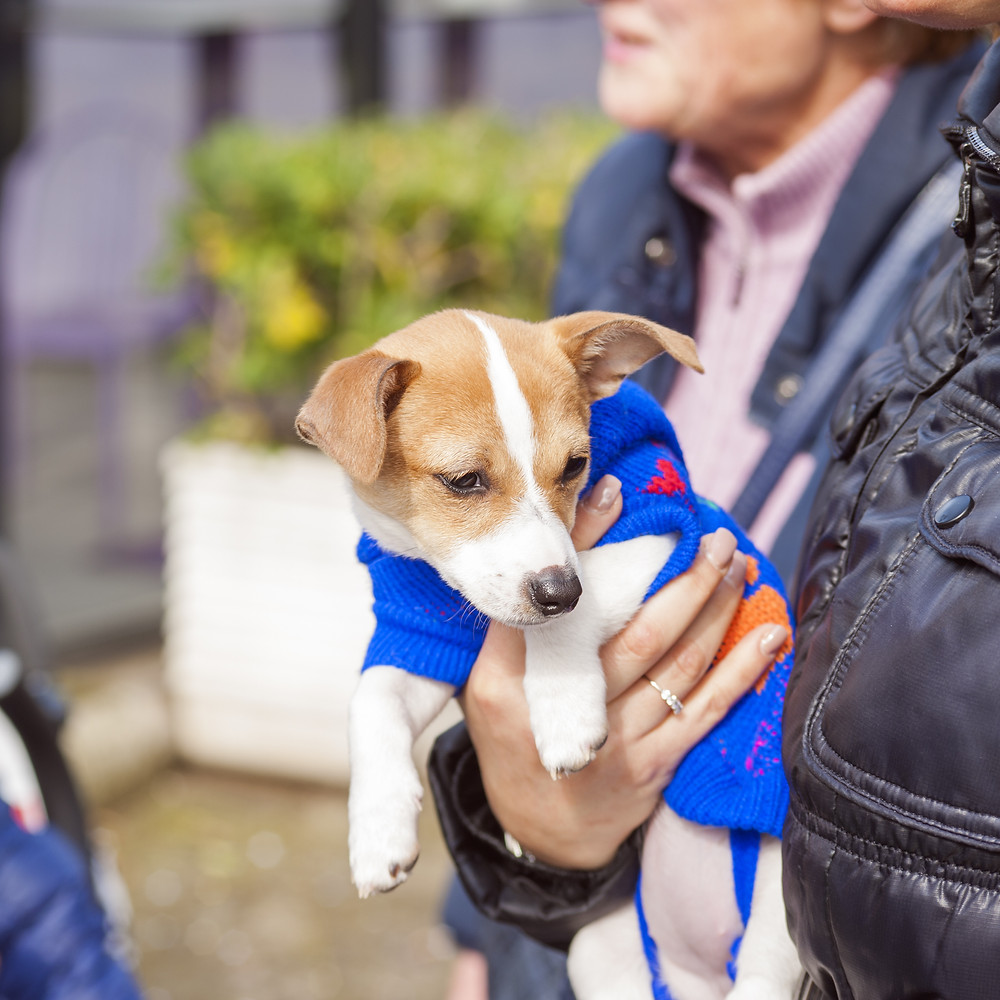 Woman with service dog
