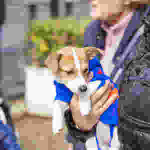 Woman with service dog