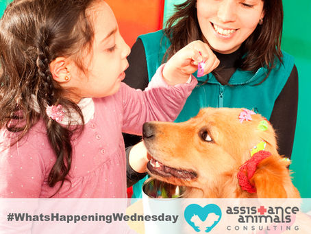 Therapy dogs effective in reducing symptoms of ADHD