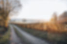 DSC07429-2.jpg