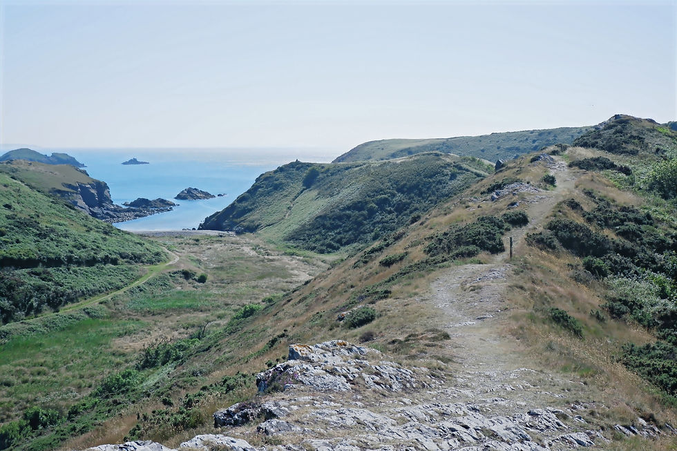 DSCF1586.JPG