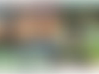 第18回グリーン・フェスタ