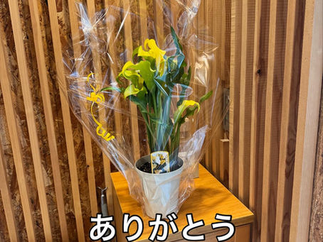 お花をいただきました