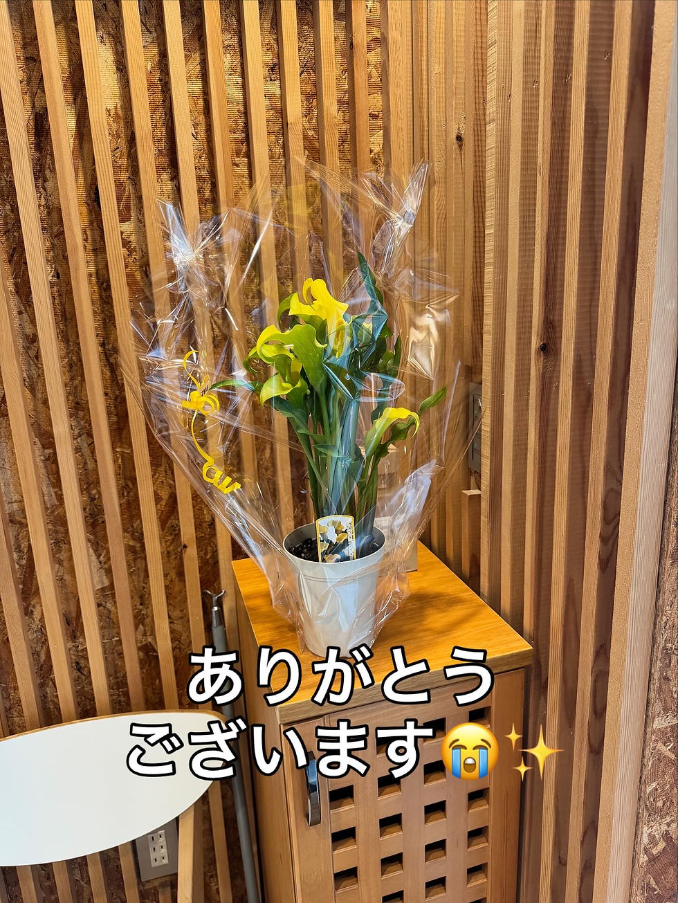 お花をいただきました