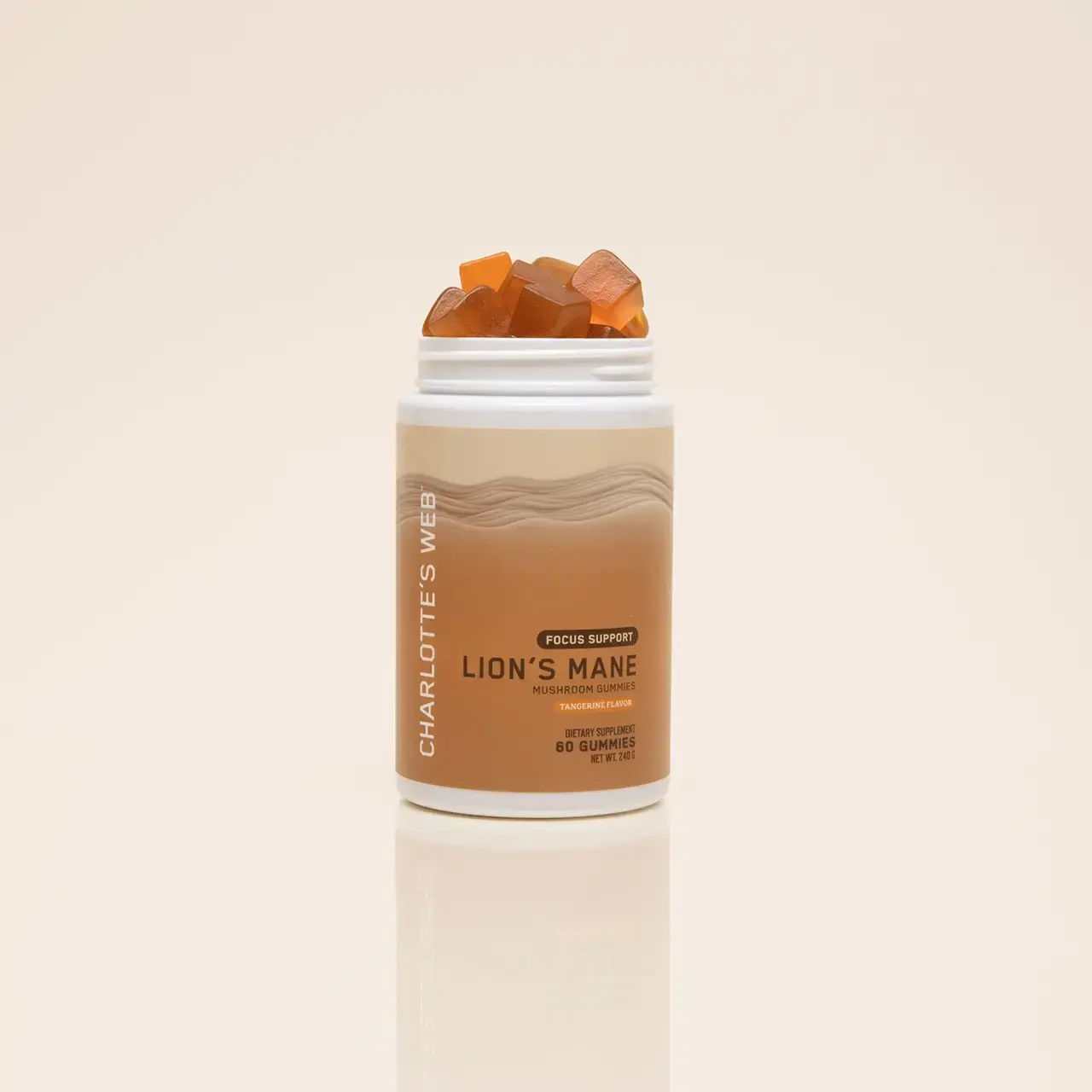 Focus Support with Lion's Mane Mushroom Gummy Net WT. 24grams