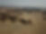 DJI_0076.JPG