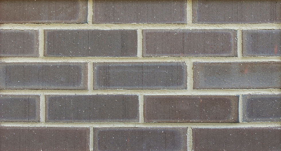 Woodland Brown Brushed Velour Narrow Flashed Range
