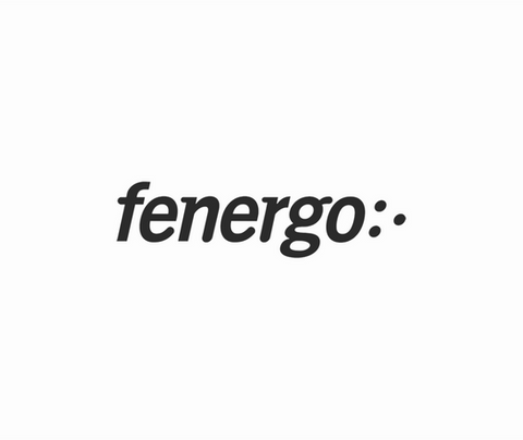 Fenergo.png