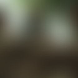 Once again on Poker Face season 2