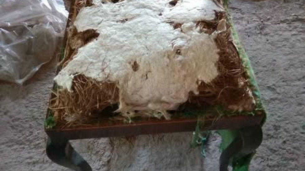 Câlți și alte materiale vechi găsite la detapițarea unui scaun vechi în atelierul Recondiționări by Ana.