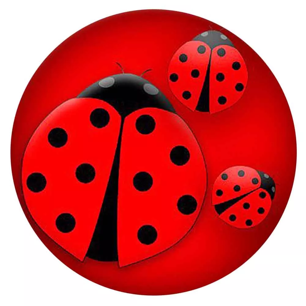 Ladybug 18mm