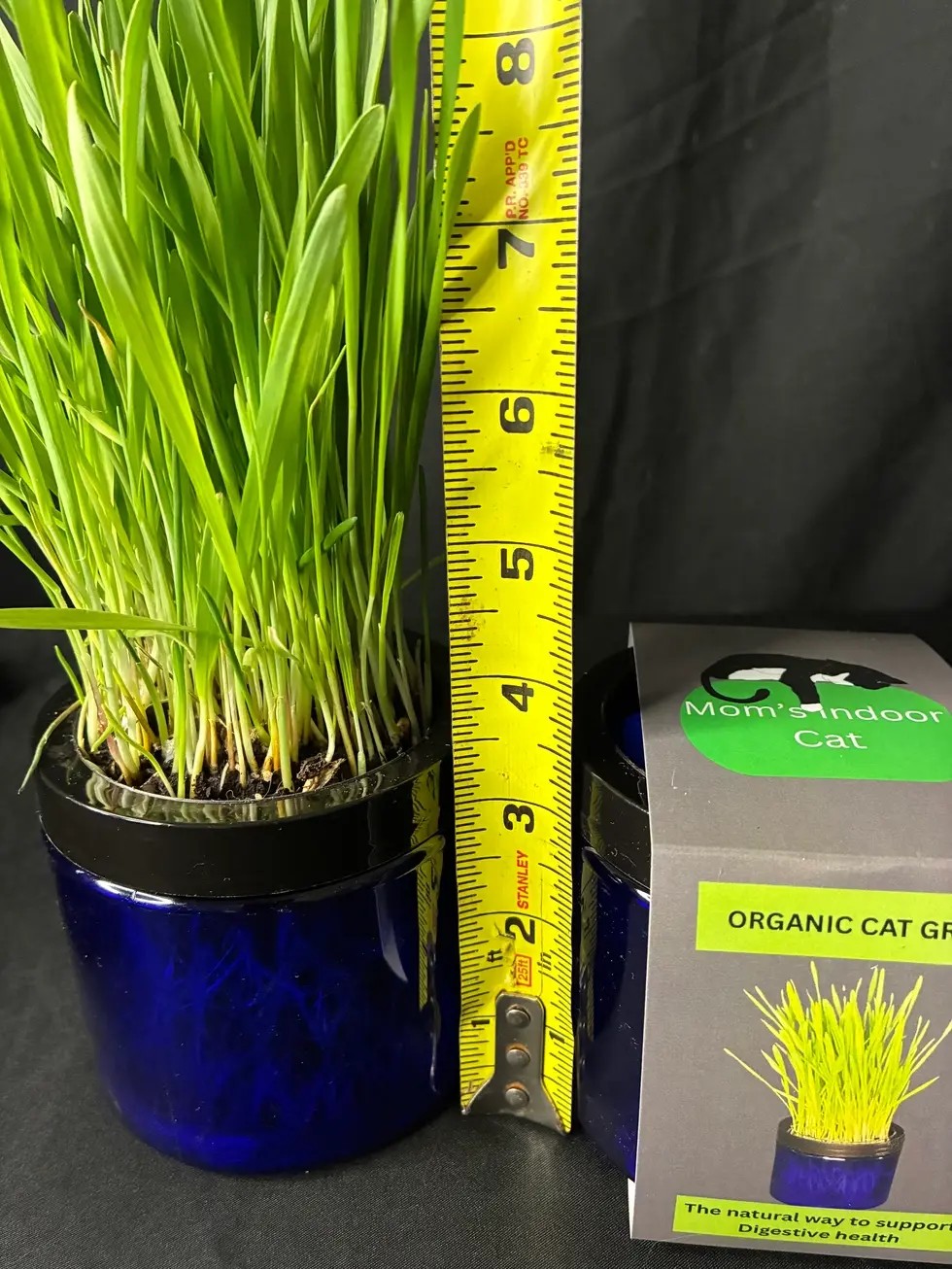 Thumbnail: Organic Cat Grass Garden Jars