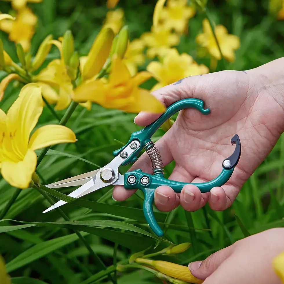 Thumbnail: Garden Shears