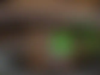 Amazon’s New Secret Weapon: Smart Glasses and AI